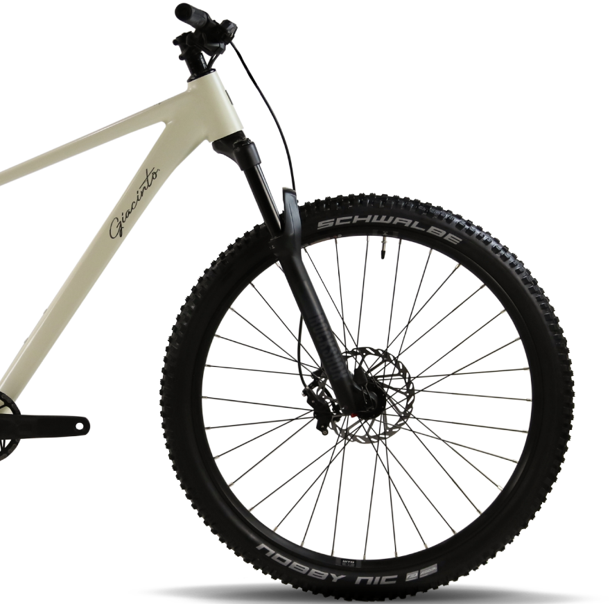 Bicicleta Giacinto Trail