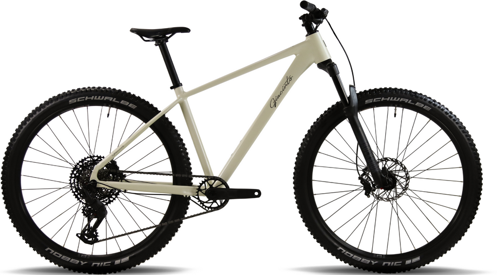 Bicicleta Giacinto Trail