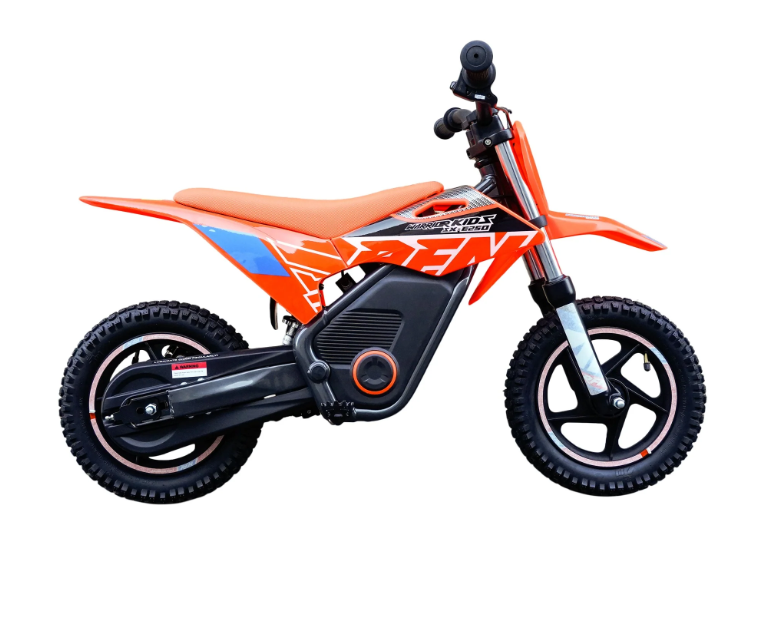 Moto Eléctrica RFN 250Watts