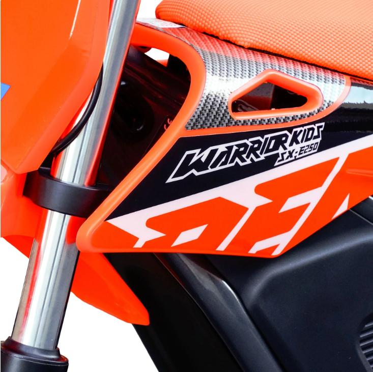 Moto Eléctrica RFN 250Watts