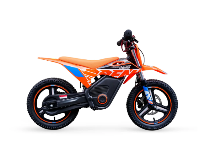 Moto Eléctrica RFN 500Watts
