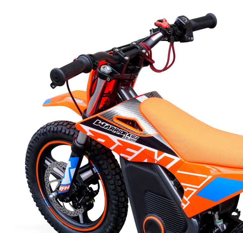 Moto Eléctrica RFN 500Watts