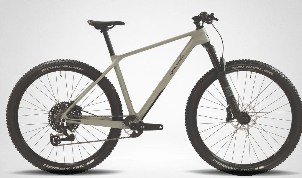 Bicicleta Giacinto Trail