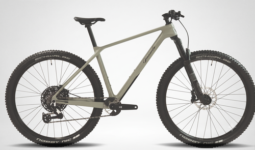 Bicicleta Giacinto Trail